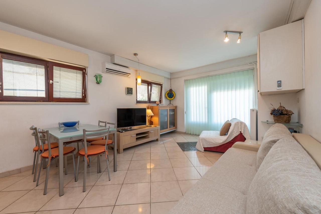 Apartments Babin - Holly 扎达尔 外观 照片